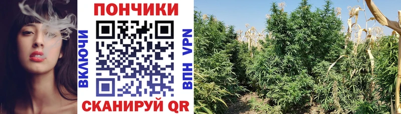 Купить закладку Cocaine  APVP  БУТИРАТ  Меф мяу мяу  Нижняя Тура