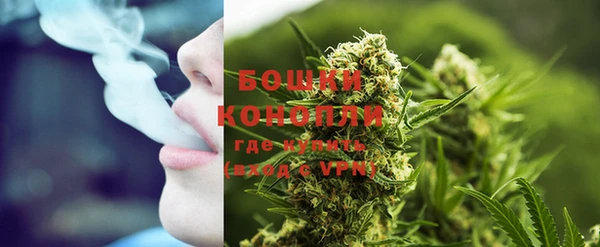 индика Вяземский