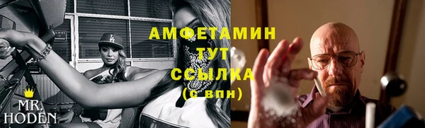 молекула духа Вязьма