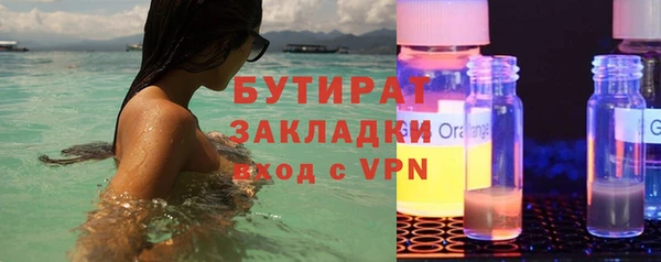 индика Вяземский