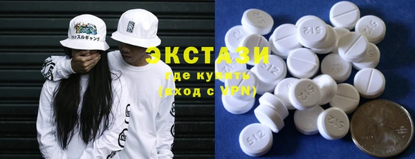 индика Вяземский