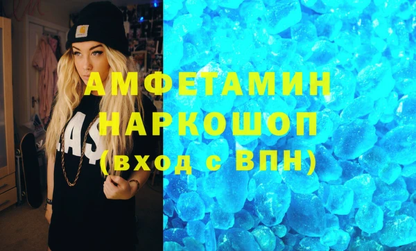 индика Вяземский