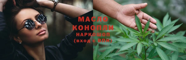 индика Вяземский
