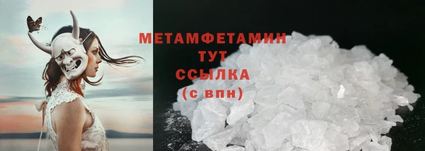 индика Вяземский