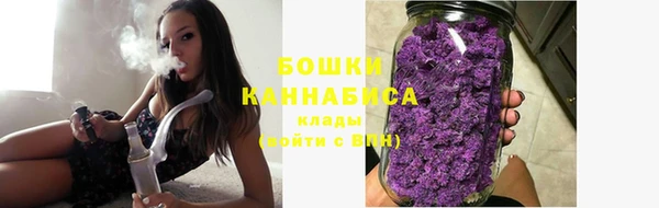 молекула духа Вязьма