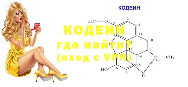 индика Вяземский