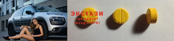 индика Вяземский