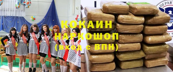 индика Вяземский