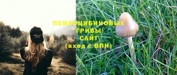Альфа ПВП Вязники