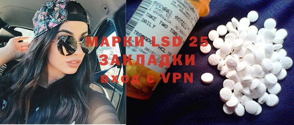 индика Вяземский
