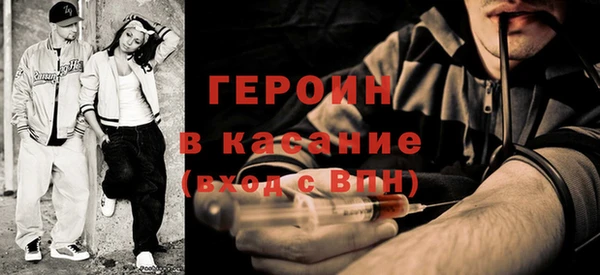 индика Вяземский