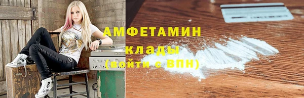 молекула духа Вязьма