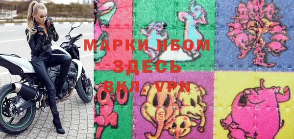 индика Вяземский