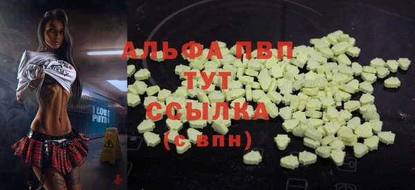 молекула духа Вязьма