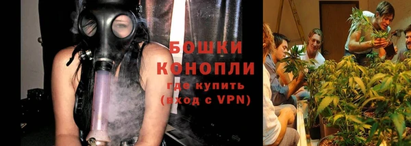 индика Вяземский