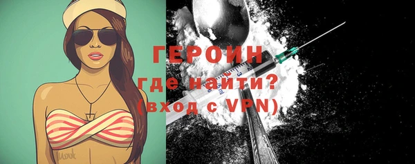 индика Вяземский