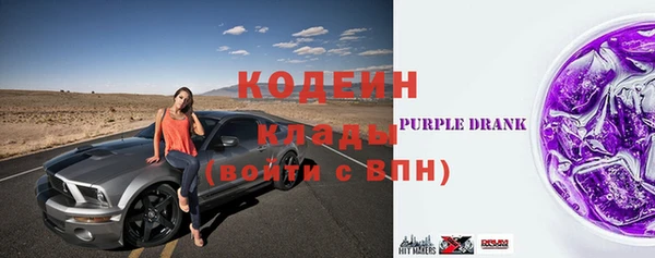 индика Вяземский