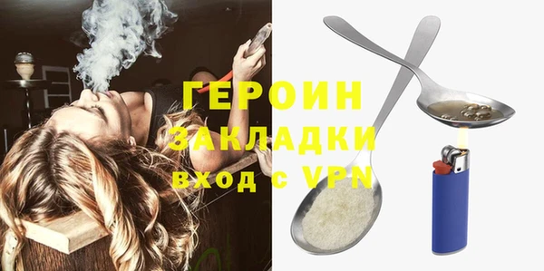 индика Вяземский