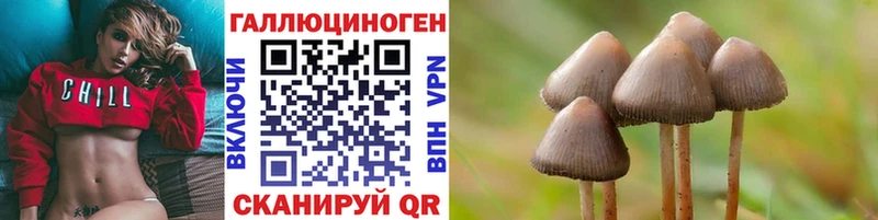 Купить  Нижняя Тура  Галлюциногенные грибы Psilocybe 