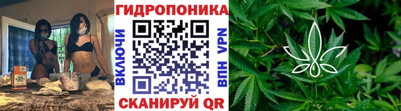 Шишки марихуана конопля  Купить где  Нижняя Тура 