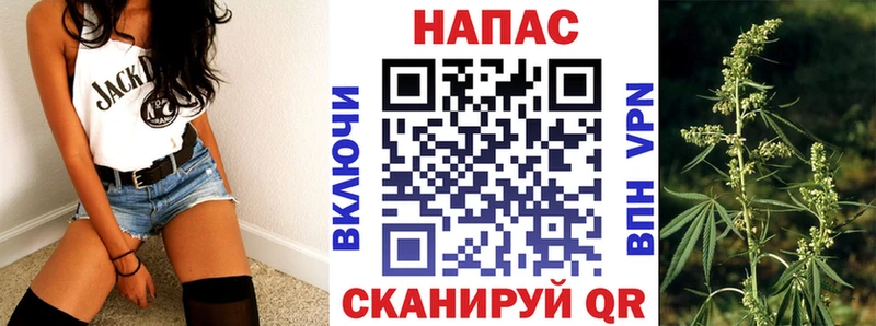 Бошки Шишки Amnesia Нижняя Тура